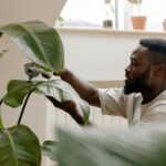 Seu espaço Zen pode ser apenas uma plantinha