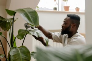 Seu espaço Zen pode ser apenas uma plantinha