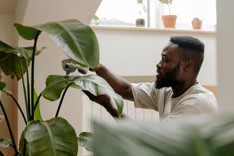 Seu espaço Zen pode ser apenas uma plantinha