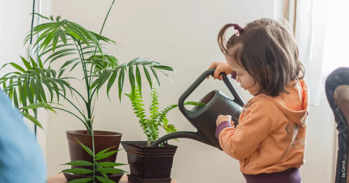 Incentive a jardinagem como forma de conexão com a natureza desde a infância.